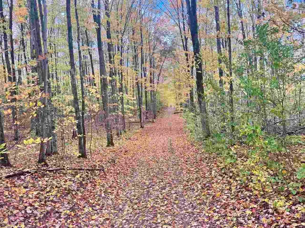 Stark Rd, Mancelona, MI 49659