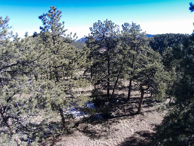 2nd image of 1553 Pinedale Ranch Cir