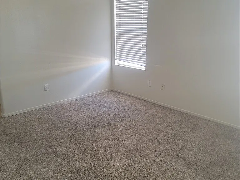 1432 Evening Song Ave — Photo 19