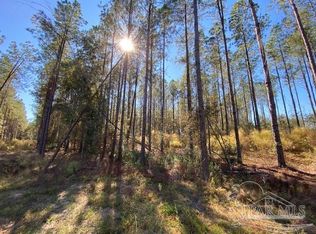 10305 Wiggins Grove Rd, Jay, FL 32565