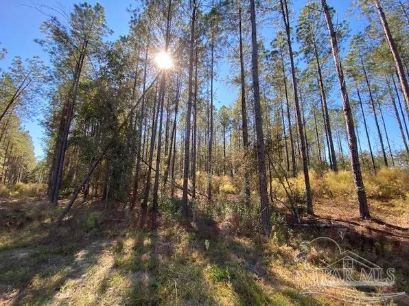 10305 Wiggins Grove Rd, Jay, FL 32565