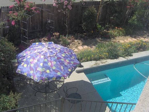Backyard/Pool