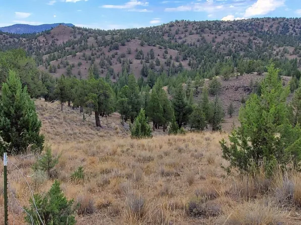Tl 802 Se Doubtful Dirt Rd, Prineville, OR 97754
