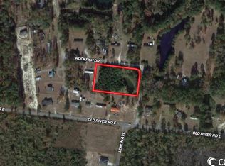 1133 Rockfish Dr, Manning, SC 29102