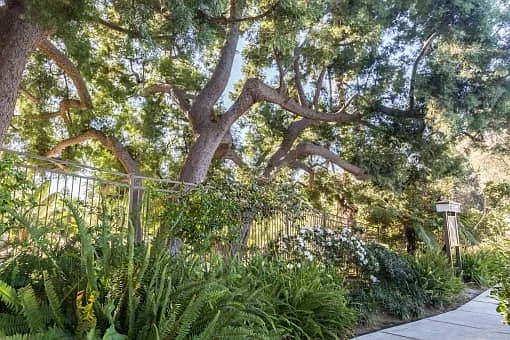Orange Grove Circle — Photo 8