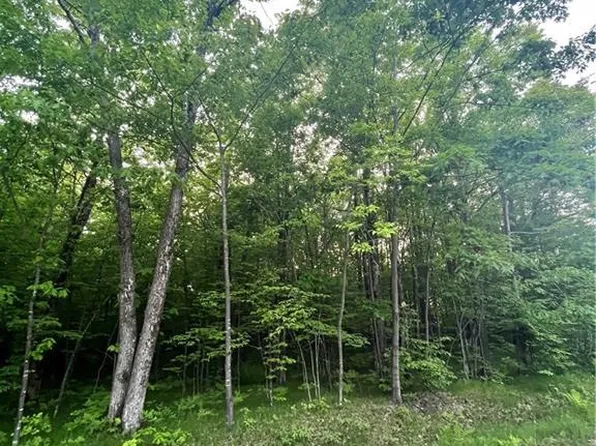 Lot 1 Universal Drive, Winter, WI 54896