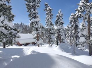 33 Severance Lodge Rd, Black Hawk, CO 80422