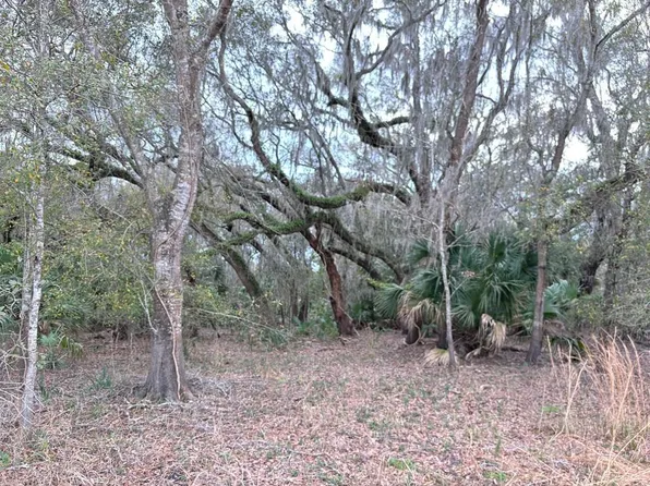 Lot 8 NW 45th Ter, Chiefland, FL 32626