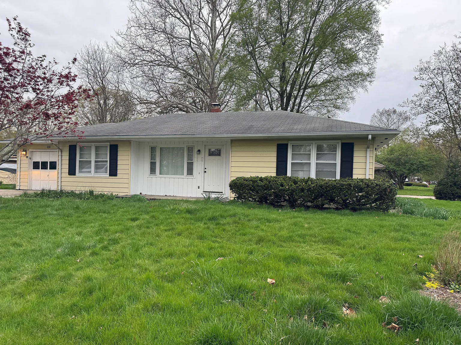 1101 Alton Dr photo 1