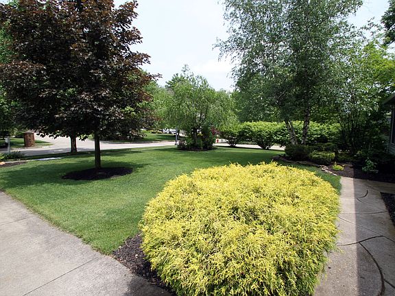 Front Yard From Garage