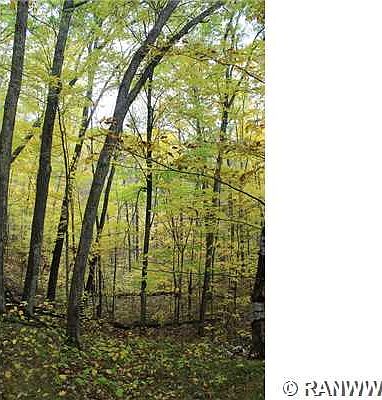 4th image of 0 Gardner Lake Road
