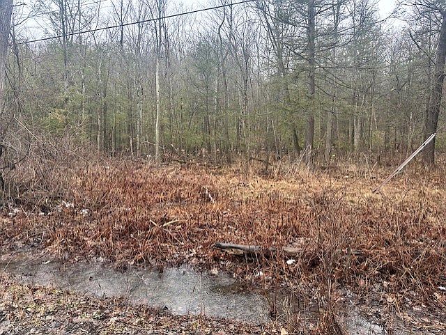 2nd image of 0 Spring Rd S Lot 7