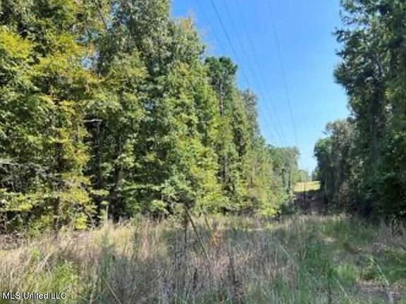 4th image of 1752 County Road 170 #5