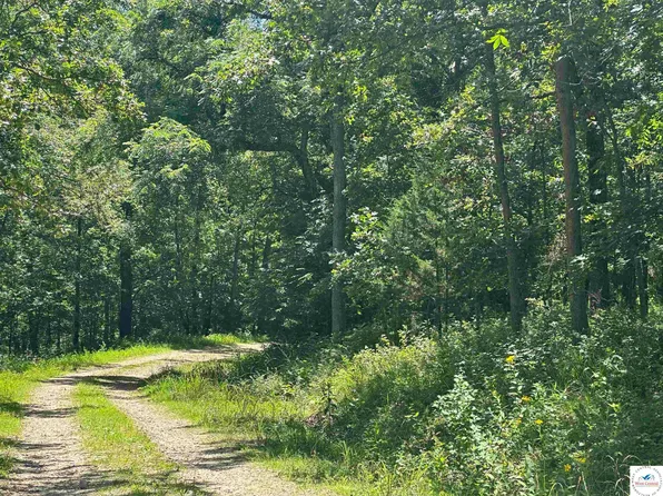 Off Saint Saveur Dr, Edwards, MO 65326