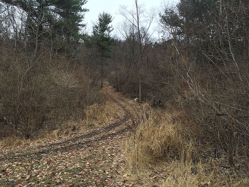 Mountain Trail/Wild Life
