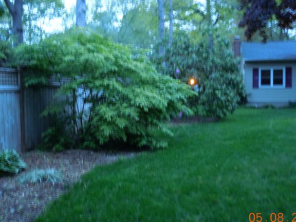 4th image of 10 June St