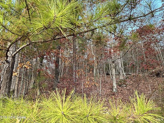 5th image of 726 Twin Lakes Dr #236