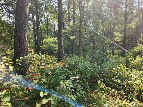 N3210 Rose Lane, Black River Falls, WI 54615