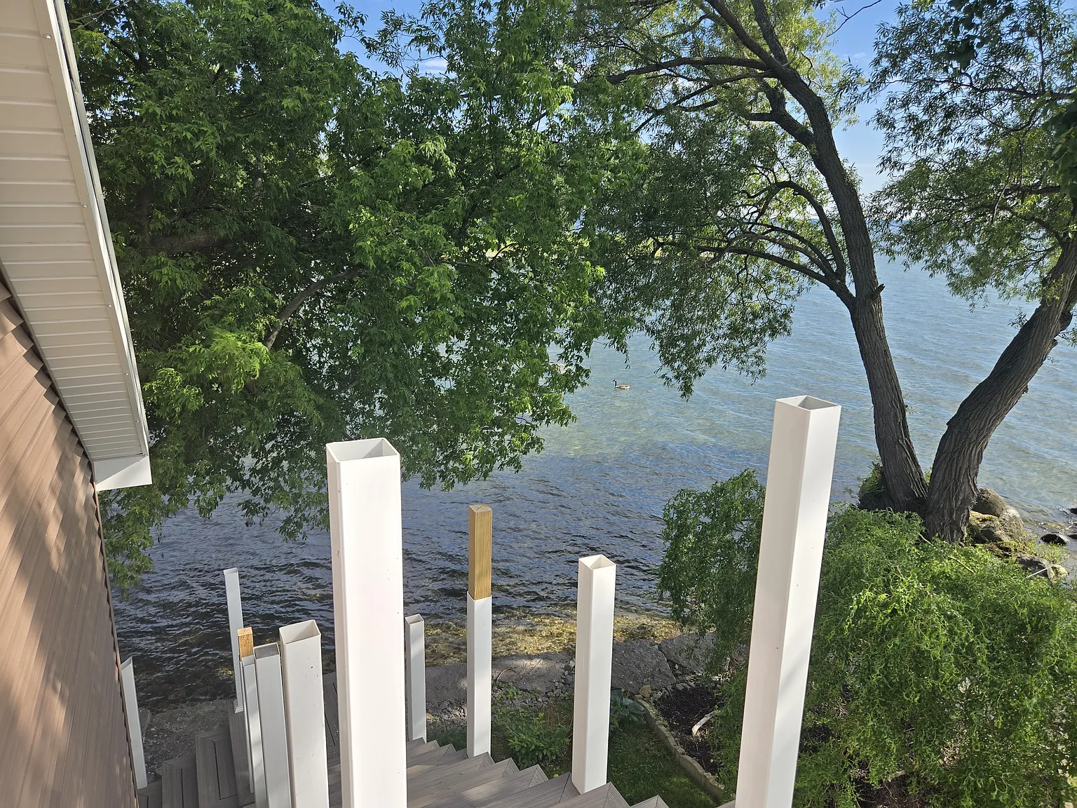 Studio, 800 sqft, $1,800 — Photo 2
