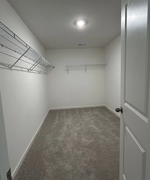 Huge walking closet