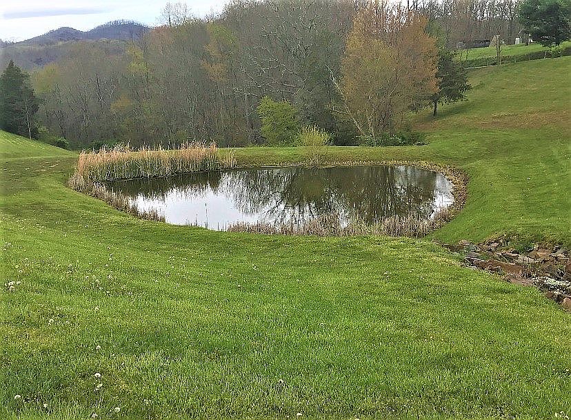 Stocked fish pond