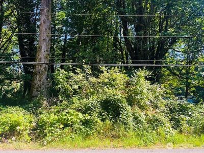 2 Lot Cape Horn Drive, Concrete, WA, 98237