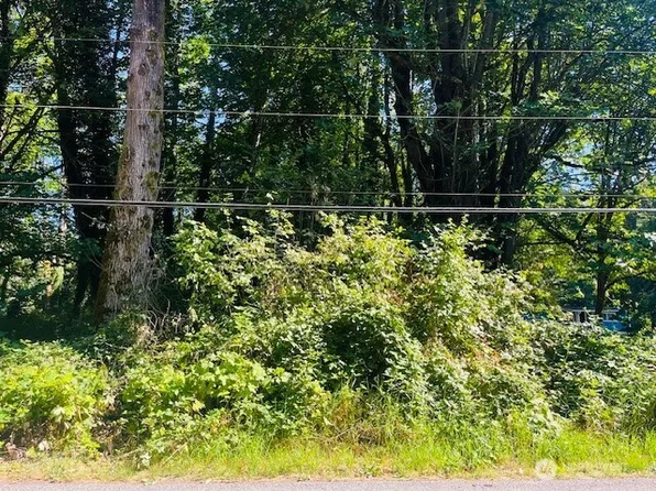 2 Lot Cape Horn Drive, Concrete, WA 98237