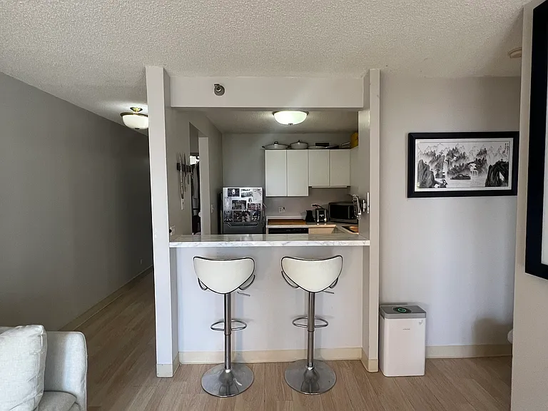 440 N Wabash Ave #3307 — Photo 4