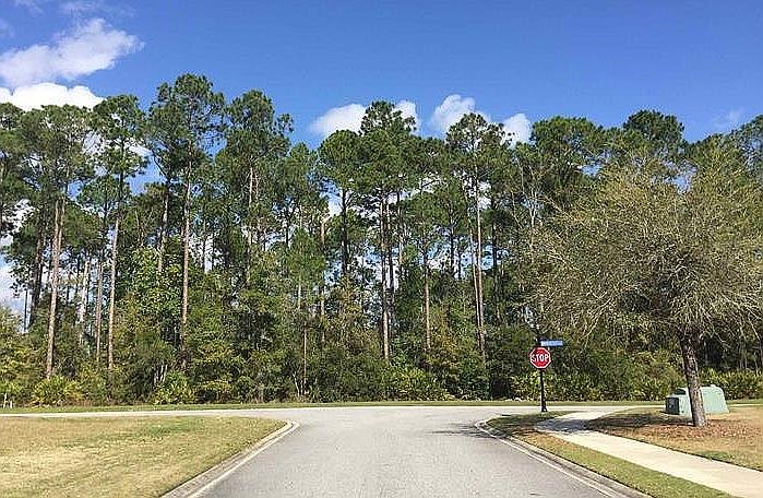 2nd image of 0 Serpentine Dr