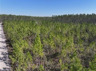 0 Tract Hwy #6-341, Odum, GA 31555