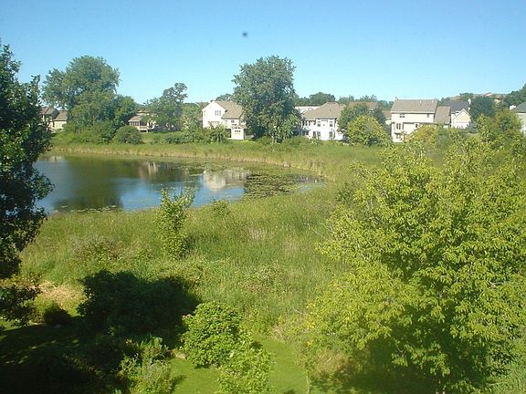 View from deck