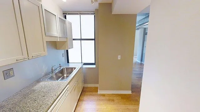 151 W Randolph St #1009 — Photo 11