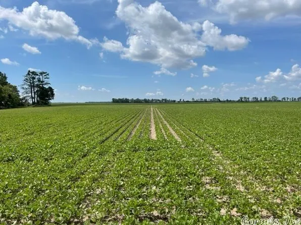 (undisclosed Address), Lake Village, AR 71653