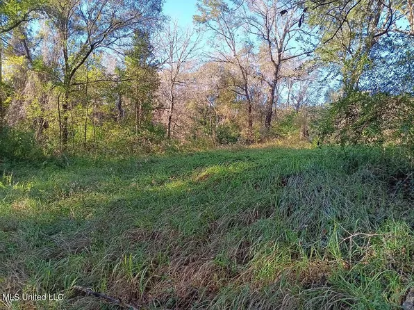 15208 Old River Rd, Vancleave, MS 39565