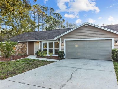 4212 Grainary Ave, Tampa, FL, 33624