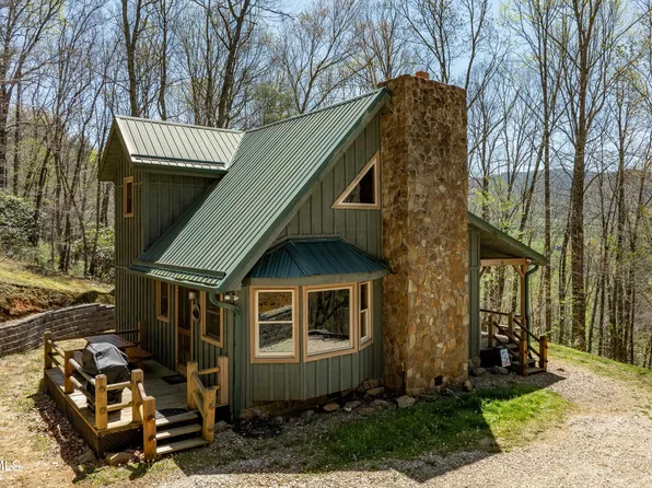 110 Arney Ln, Mountain City, TN 37683
