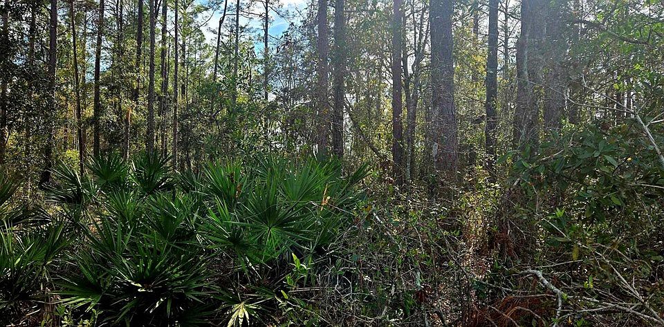 2nd image of  SE County Road 346