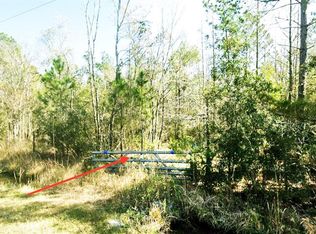 10720 Beckenger Ave, Hastings, FL 32145