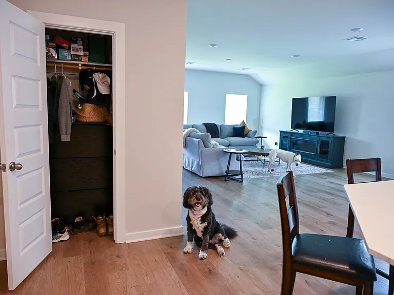 2929 Firefly Dr — Photo 3