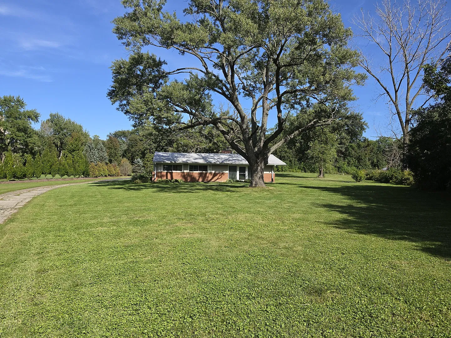 3 bed, 1796 sqft, $3,800 — Photo 2