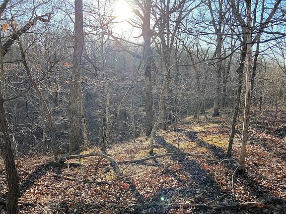 4th image of Woodhall Ln