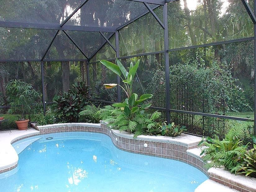The Pool
