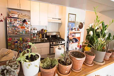 Rented by Maz Group NY