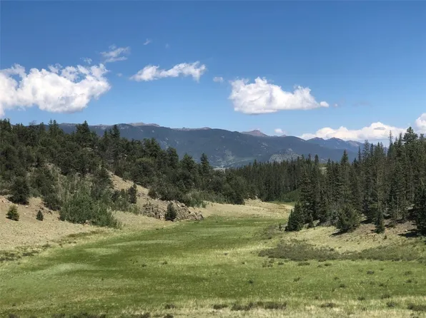 1135 Swiggler Rd, Jefferson, CO 80456