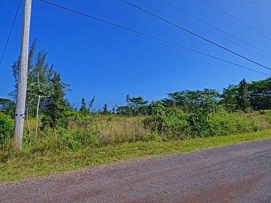 1st image of 3rd Ave Lot 1433