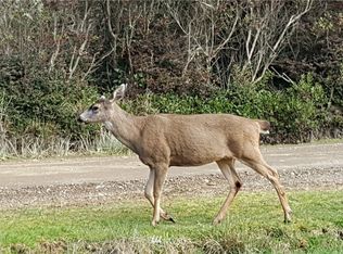 543 Sand Dune Ave, Ocean Shores, WA 98569