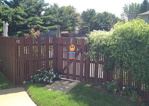 Welcome To The Backyard