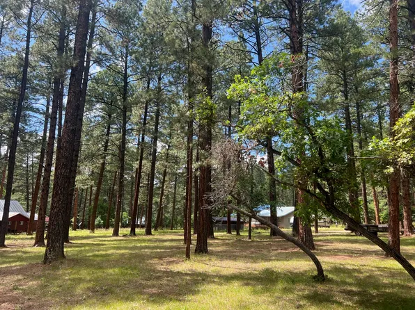 2-98 Fairview Dr, Tierra Amarilla, NM 87575