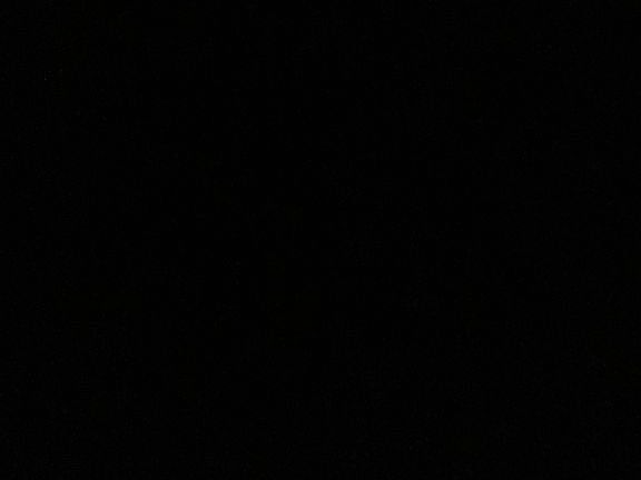 3rd image of 3339 Morningside Dr