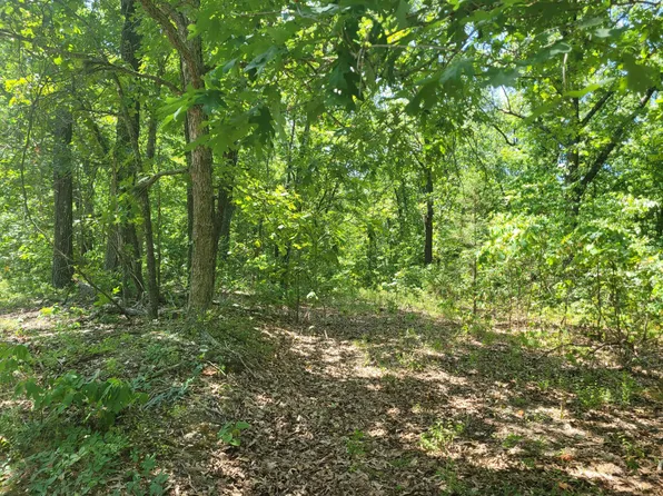 000 Highway O, Seymour, MO 65746